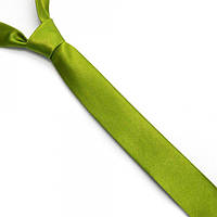 Галстук Gofin Узкий Светло-Зеленый (Оливковый) Однотонный Fgn-10 SC, код: 4522410