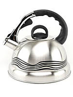 Чайник кухонный со свистком для всех типов плит A-PLUS WK-1384 3.2 л Steel NB, код: 8262535