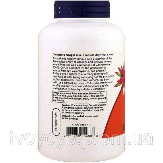 Пантотеновая кислота NOW Foods Pantothenic Acid 500 mg 250 Caps TV, код: 7518517 - фото 3 - id-p2159053714