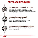 Консервований корм для котів при порушенні травлення Royal Canin Gastrointestinal 85 г, фото 5