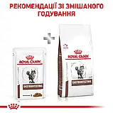 Консервований корм для котів при порушенні травлення Royal Canin Gastrointestinal 85 г, фото 9
