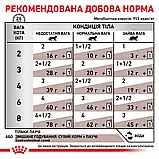 Консервований корм для котів при порушенні травлення Royal Canin Gastrointestinal 85 г, фото 7