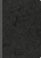 Блокнот Brunnen А4 нелинованный FACTplus 96 листов Черный PZ, код: 1937713