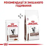 Ветеринарна дієта для котів при порушеннях травлення Royal Canin Gastro Intestinal Moderate Calorie Feline 85 г, фото 4