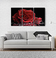 Модульна картина Poster-land Троянда Аrt-101_3А OS, код: 6502977