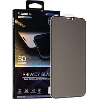 Защитное стекло Gelius Privasy Glass iPhone 12 Pro Max 5D Black