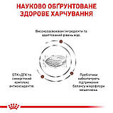Сухий корм для дорослих собак Royal Canin Hepatic Canine 1.5 кг, фото 3
