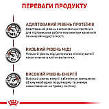 Сухий корм для дорослих собак Royal Canin Hepatic Canine 1.5 кг, фото 6