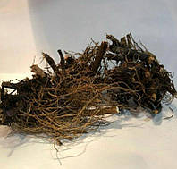 Ехінацея пурпурова (корні) Карпати 50 г UL, код: 2650865