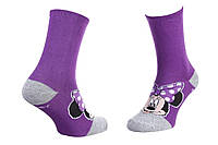 Носки Disney Minnie Head Minnie 36-41 purple (13893120-6) PK, код: 2467273