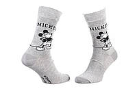 Носки Disney Mickey Mickey + Character 43-46 (93154962-4) light grey GG, код: 2467116