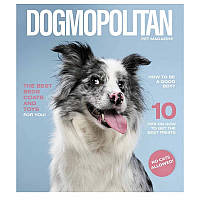 Тетрадь общая Pets magazine Школярик 036-3194K-5 в клетку 36 листов TO, код: 8453209