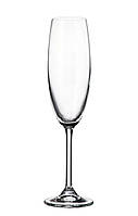 Набор бокалов Bohemia Colibri (Gastro) 220 мл для шампанского 6 шт (4S032 220 BOH) QT, код: 8179107