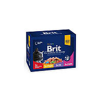 Вологий корм для кішок Brit Premium Cat pouch 4 смаки 100 г 12 шт (8595602506255) EM, код: 7620741