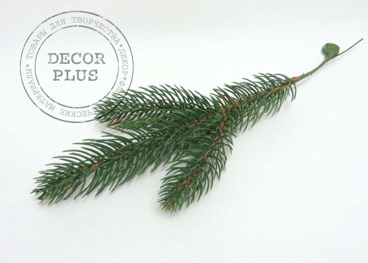 Гілка ялини зелена 3-ка, фото 1