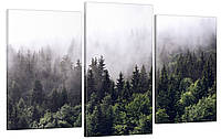 Модульная картина Декор Карпаты в гостиную спальню для интерьера Туманный лес 53x100 см MK3 AG, код: 7008793