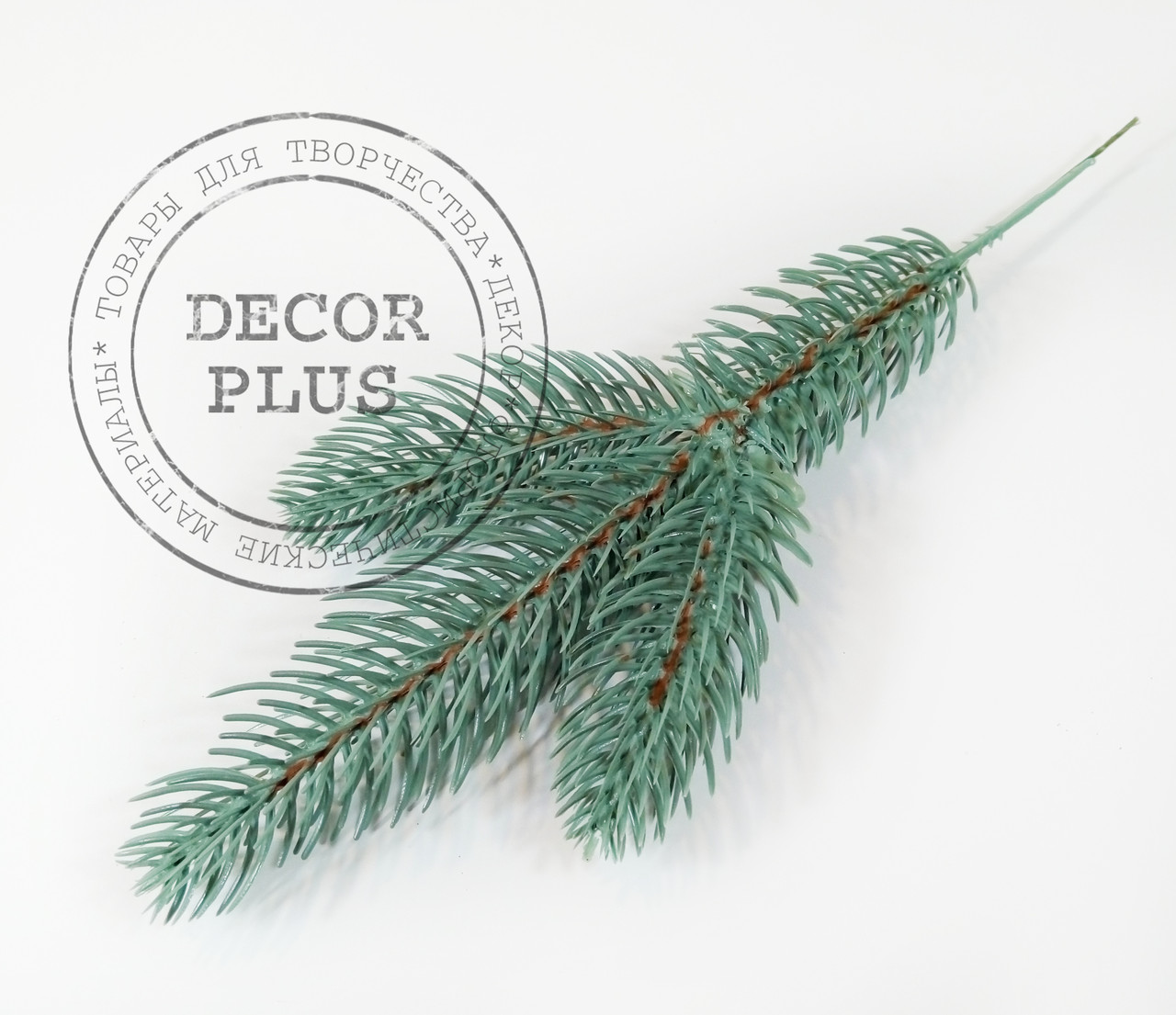 Гілка ялини блакитна 3-ка, фото 1