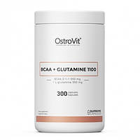 Аминокислота BCAA для спорта OstroVit BCAA + Glutamine 1110 mg 300 Caps PZ, код: 7558867