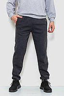 Спортивные штаны мужские на флисе темно-серый 244R41269 Ager L QT, код: 8408685