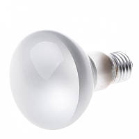 Лампа накаливания рефлекторная R Brille Стекло 100W Белый 126001 EJ, код: 7264023