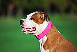 Нашийник для собак шкіряний WAUDOG Glamour Ш 25 мм Д 38-49 см Рожевий SC, код: 7561887, фото 3