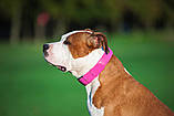 Нашийник для собак шкіряний WAUDOG Glamour Ш 25 мм Д 38-49 см Рожевий SC, код: 7561887, фото 4