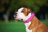 Нашийник для собак шкіряний WAUDOG Glamour Ш 25 мм Д 38-49 см Рожевий SC, код: 7561887, фото 5
