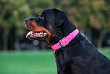 Нашийник для собак шкіряний WAUDOG Glamour Ш 25 мм Д 38-49 см Рожевий SC, код: 7561887, фото 6