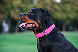 Нашийник для собак шкіряний WAUDOG Glamour Ш 25 мм Д 38-49 см Рожевий SC, код: 7561887, фото 7