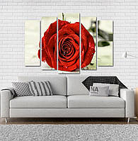 Модульна картина Poster-land Троянда Art-27_5 PR, код: 6502402