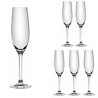 Набор бокалов для шампанского Lora Бесцветный H50-005-6 210ml NB, код: 7242533