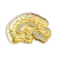 Пин BROCHE Мозг золотистый BRGV113912 UL, код: 8301178