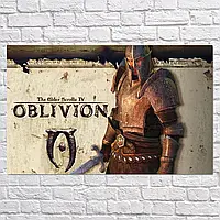 Плакат "Древние Свитки 4: Обливион, Elder Scrolls IV: Oblivion (2006)", 38×60см