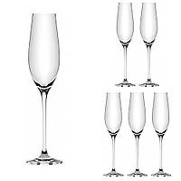 Набор бокалов для шампанского Lora Бесцветный H50-047-6 220ml SM, код: 7242534