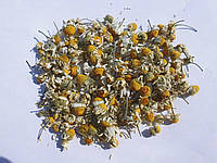 Ромашка (цветы) Карпаты 50 гр BK, код: 2650825