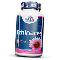 Эхинацея узколистная Echinacea 250 Haya 60капс (71405008) z114-2024