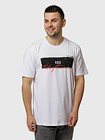 Мужская футболка регуляр 6XL белый Highlander ЦБ-00218797 z116-2024