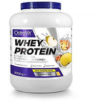 Протеин OstroVit Whey Protein 2000 g /66 servings/ Apple Pie z114-2024