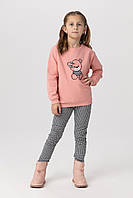 Костюм для дівчинки світшот штани Breeze 1567 110 см Рожевий 2000990144348 z115-2024