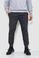 Спортивные штаны мужские двухнитка темно-серый 241R8005 Ager L BM, код: 8385140