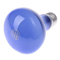 Лампа накаливания рефлекторная R Brille Стекло 60W Синий 126737 XN, код: 7264019