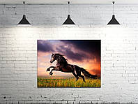 Картина на холсте ProfART S4560-z439 60 x 45 см Лошадь (hub_zhPF56744) NX, код: 1224846