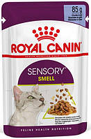 Вологий корм для кішок стимулює нюхові рецептори Royal Canin Sensory Smell in Jell IN, код: 7687633