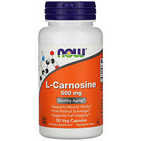 Аминокомплекс NOW Foods L-Carnosine 500 mg 50 Veg Caps NOW-00078 TN, код: 7518415