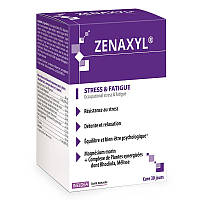 Комплекс для профилактики нервной системы INELDEA SANTE NATURELLE ZENAXYL® 90 Caps QT, код: 7813164