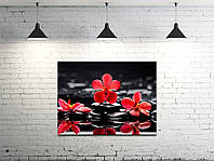 Картина на холсте ProfART S4560-e44 60 x 45 см Цветы (S4560-e44) GG, код: 1224882
