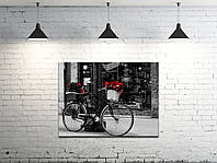 Картина на холсте ProfART S4560-g159 60 x 45 см Велосипед (hub_lkgC22313) GG, код: 1224924