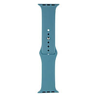 Ремешок Anchor для Apple Watch Band Silicone One-Piece Size-S 42 44mm Цвет 65 Cactus color BM, код: 6984512