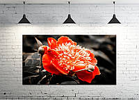 Картина на полотні ProfART S50100-c780 100 x 50 см Квітка (hub_tbsp92998) GG, код: 1224985