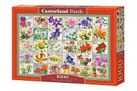 Пазлы Castorland Цветы 1000 элементов C-104338 UL, код: 2595847